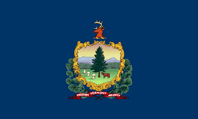Will Aly Richards win the 2026 Vermont Governor Democratic primary election?