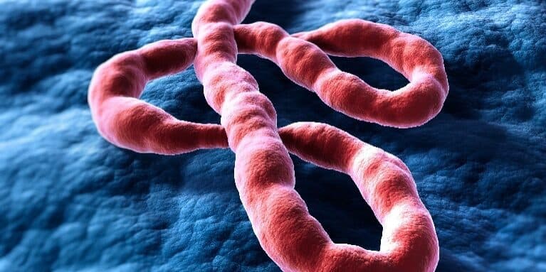 Will Kenya have an Ebola case in 2026?